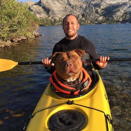 Adottato da un rifugio con una cattiva reputazione, un cane maltrattato ritrova fiducia e amore, diventando un compagno fedele e protagonista di una nuova vita.
