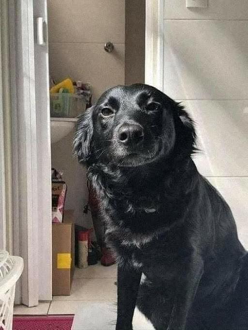 Adottata dopo una vita di abbandono e privazioni, Greta Maria oggi scopre il sole e la libertà, trasformando un passato difficile in una nuova vita.