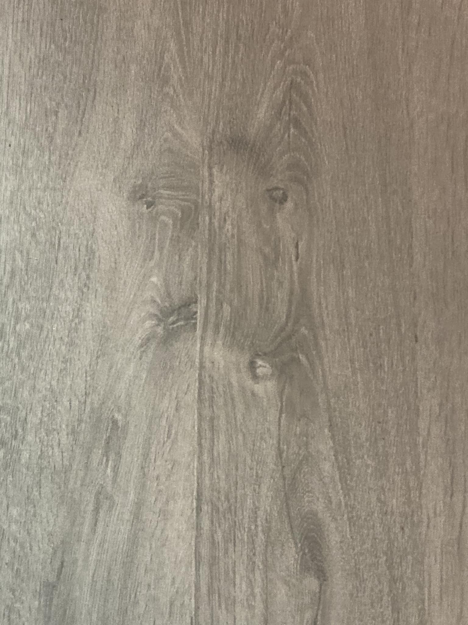 Durante i lavori in casa, una forma nel pavimento ricorda la sua Husky scomparsa: un dettaglio inatteso riaccende emozioni profonde a sei mesi dalla perdita.