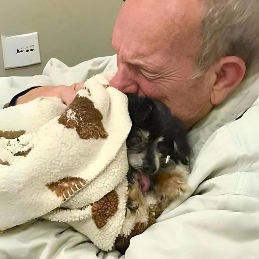 Dopo una festa piena di gioia, un beagle si ammala improvvisamente e in pochi giorni le sue condizioni peggiorano fino alla difficile decisione di lasciarlo andare senza dolore.