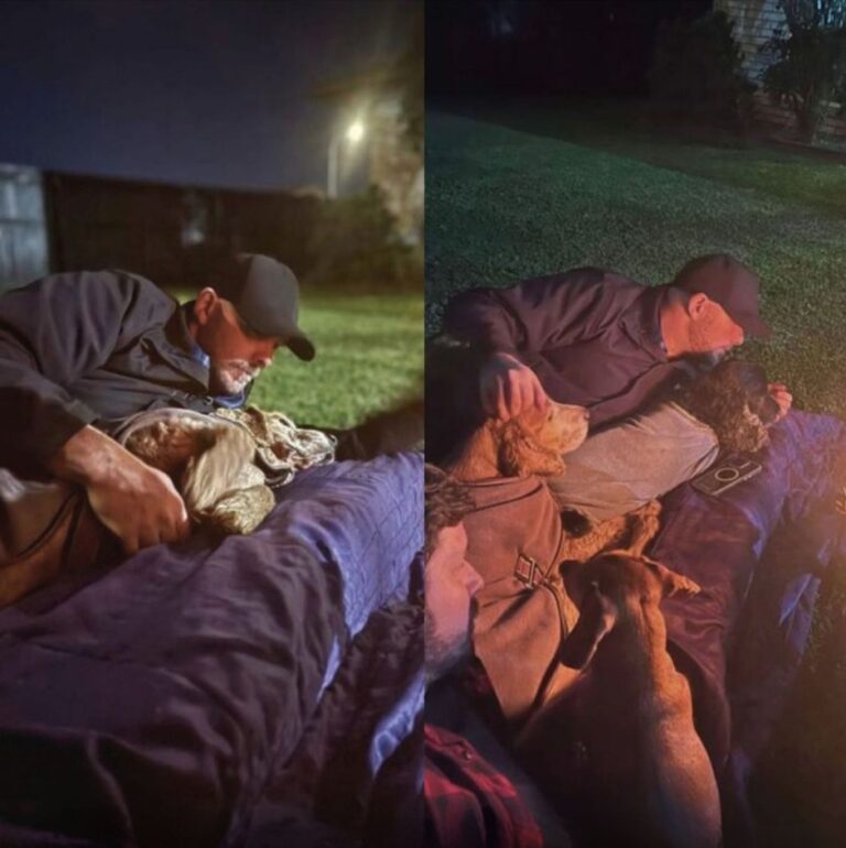 Due cani anziani, Harley e Duke, salutano insieme la loro famiglia dopo un rapido peggioramento. L’ultimo giorno trascorso tra amore, carezze e addio condiviso.