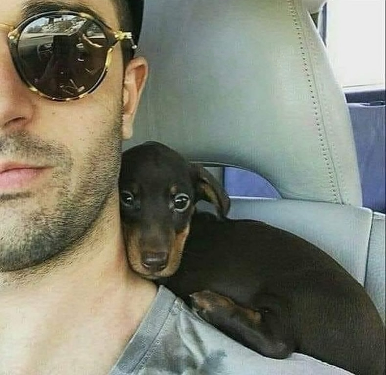 Un uomo trova un cucciolo tremante sul ciglio della strada e lo salva. Da quell’incontro nasce un legame profondo che cambia per sempre le loro vite.