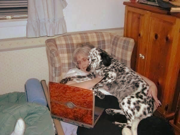 Un cucciolo di 11 mesi riportato al rifugio per il suo comportamento viene salvato dalla vicina che lo aveva già accolto sotto la pioggia.