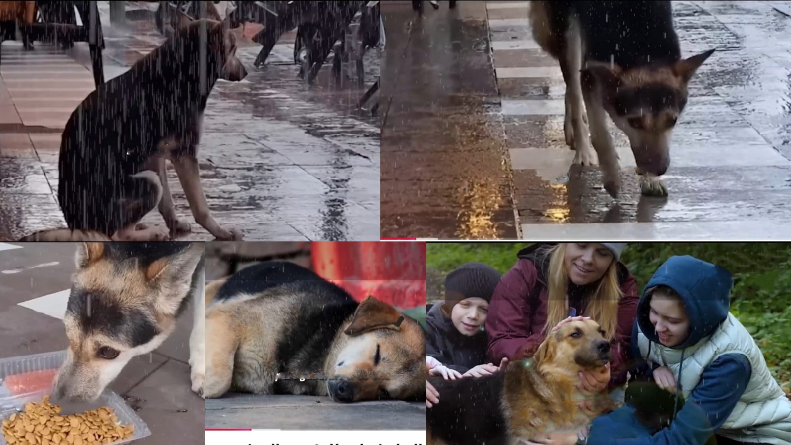 Resta per giorni sotto la pioggia davanti a un ristorante senza mangiare. Un uomo la aiuta finché la sua famiglia la ritrova dopo mesi.