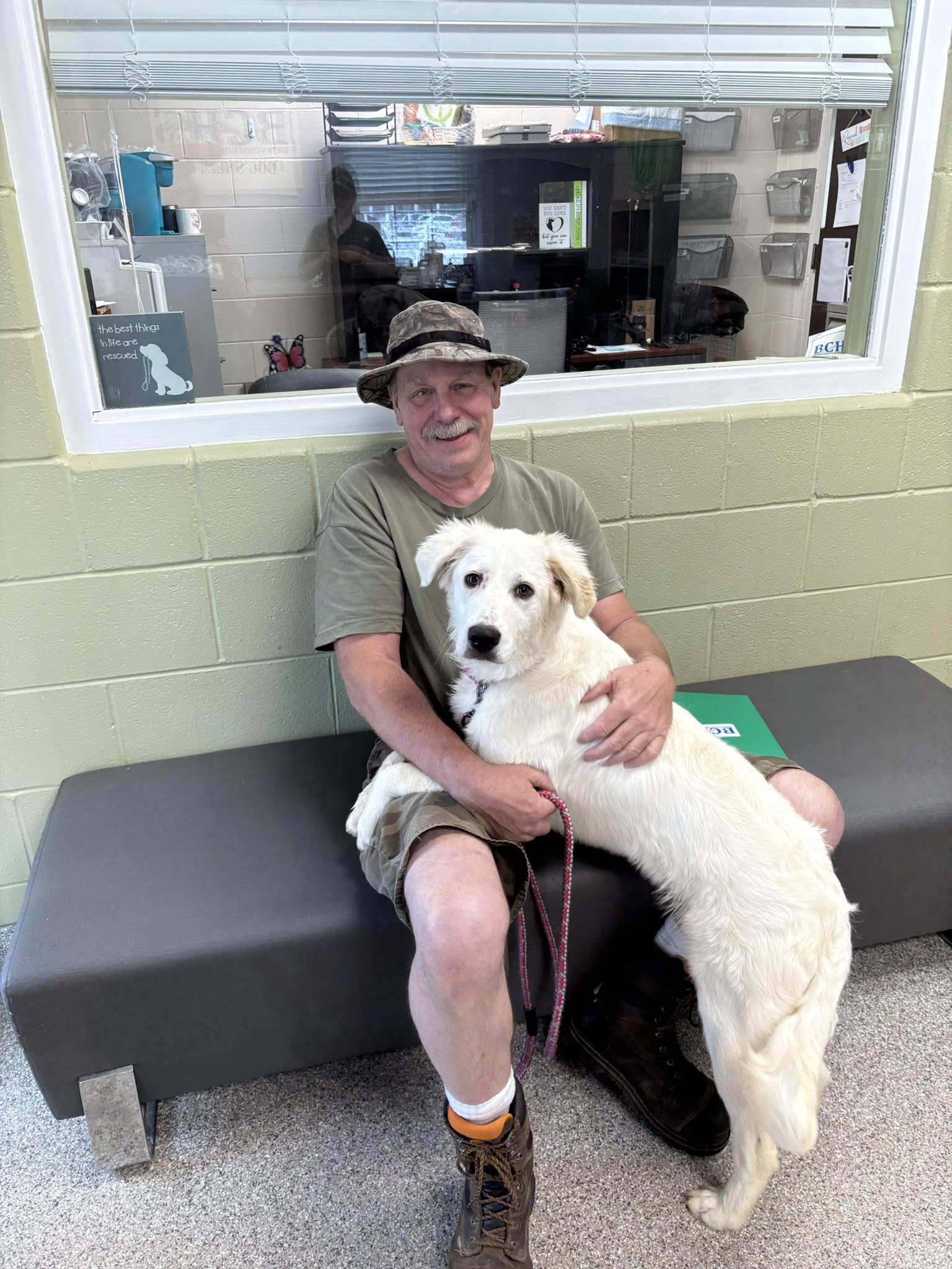 Un uomo trova una cagnolina che vaga sola e la porta al rifugio. Dopo il periodo di attesa per il recupero decide di adottarla.