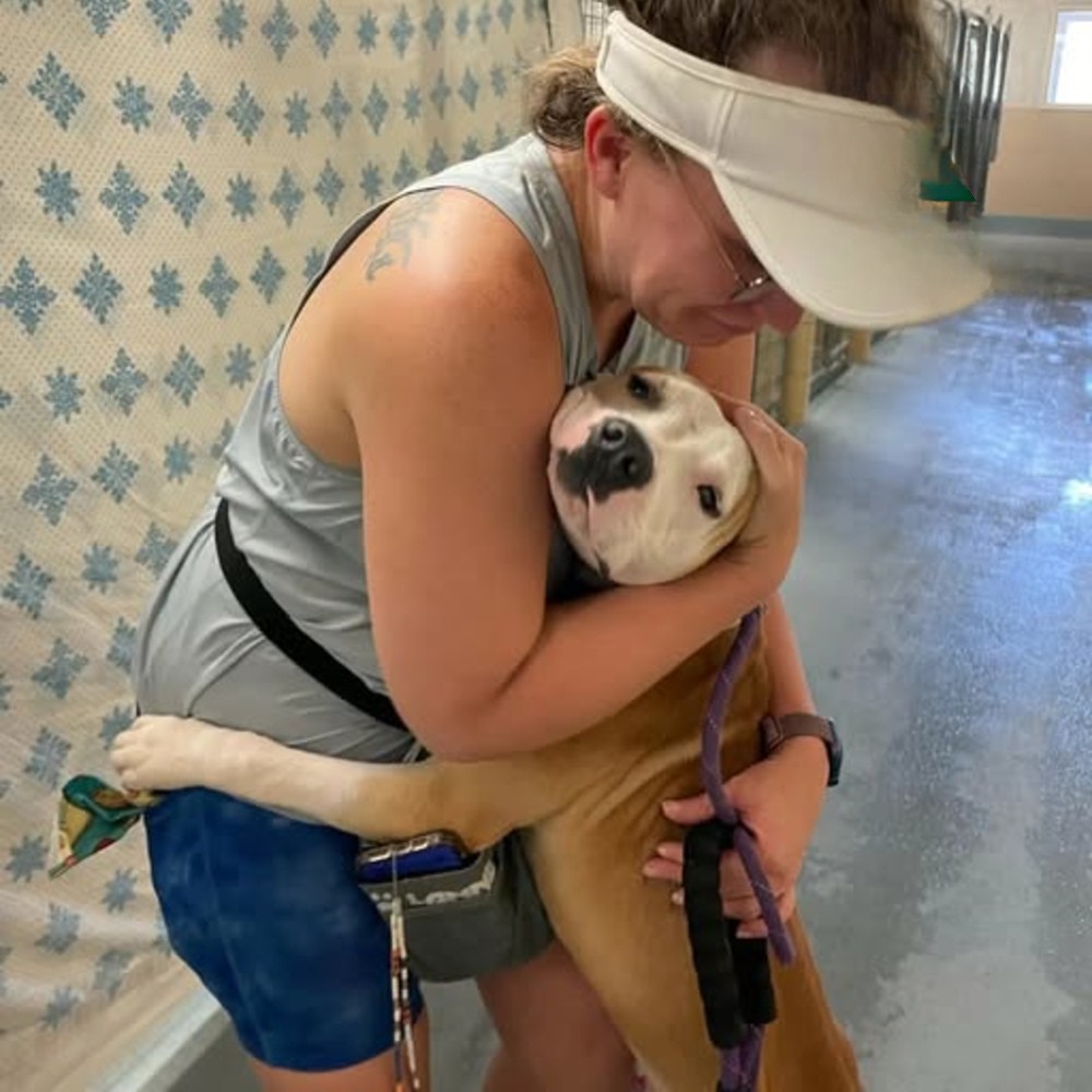 Il giovane cane Tanner rischiava l’eutanasia in un rifugio sovraffollato. Un video pubblicato dalla volontaria Madeline cambia il suo destino.