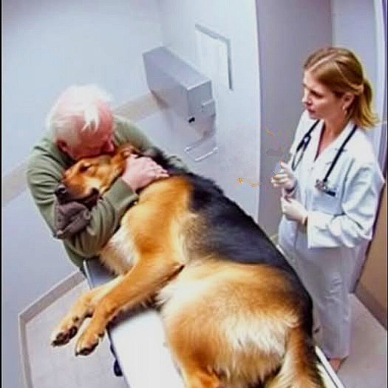 In clinica veterinaria Mateo sta per salutare il suo cane Rocco, ma pochi istanti prima dell’eutanasia l’animale reagisce e riapre gli occhi.
