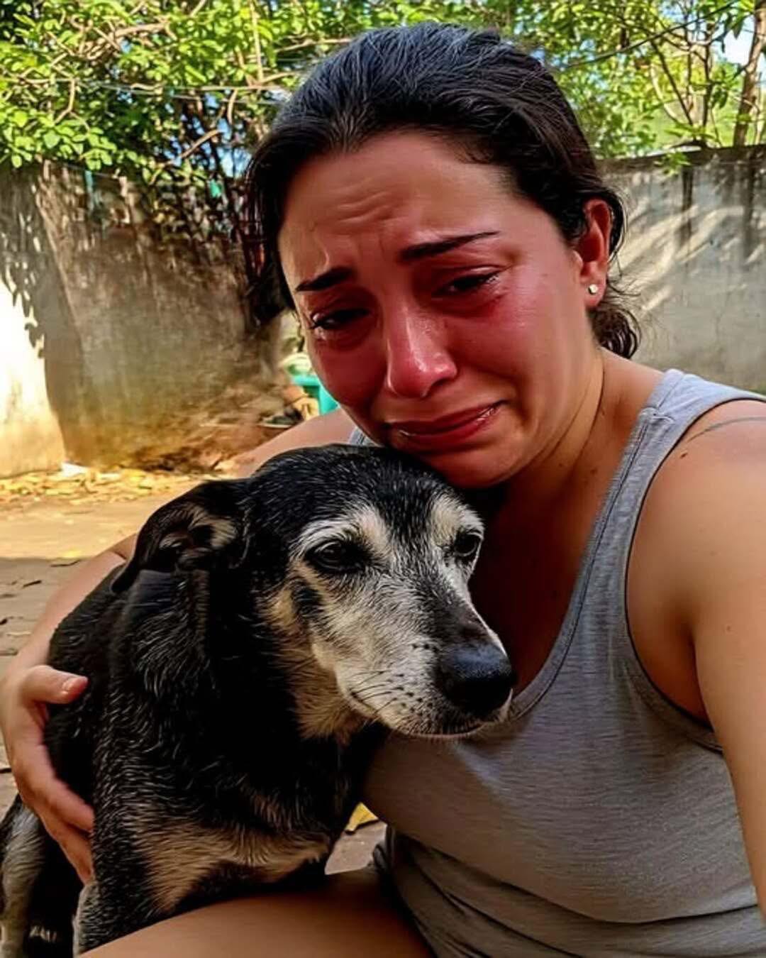 Un uomo scatta l’ultima foto con il suo cane Rio prima dell’eutanasia. Dopo mesi di malattia, il cane si spegne serenamente tra le sue braccia.