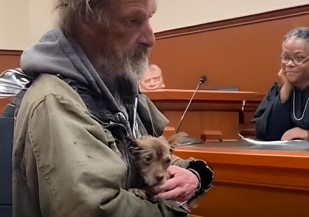 Sotto la pioggia gelida Herbert arriva in tribunale con il cane Chance. La giudice Mariana Diaz decide di archiviare il caso e aiutarli.