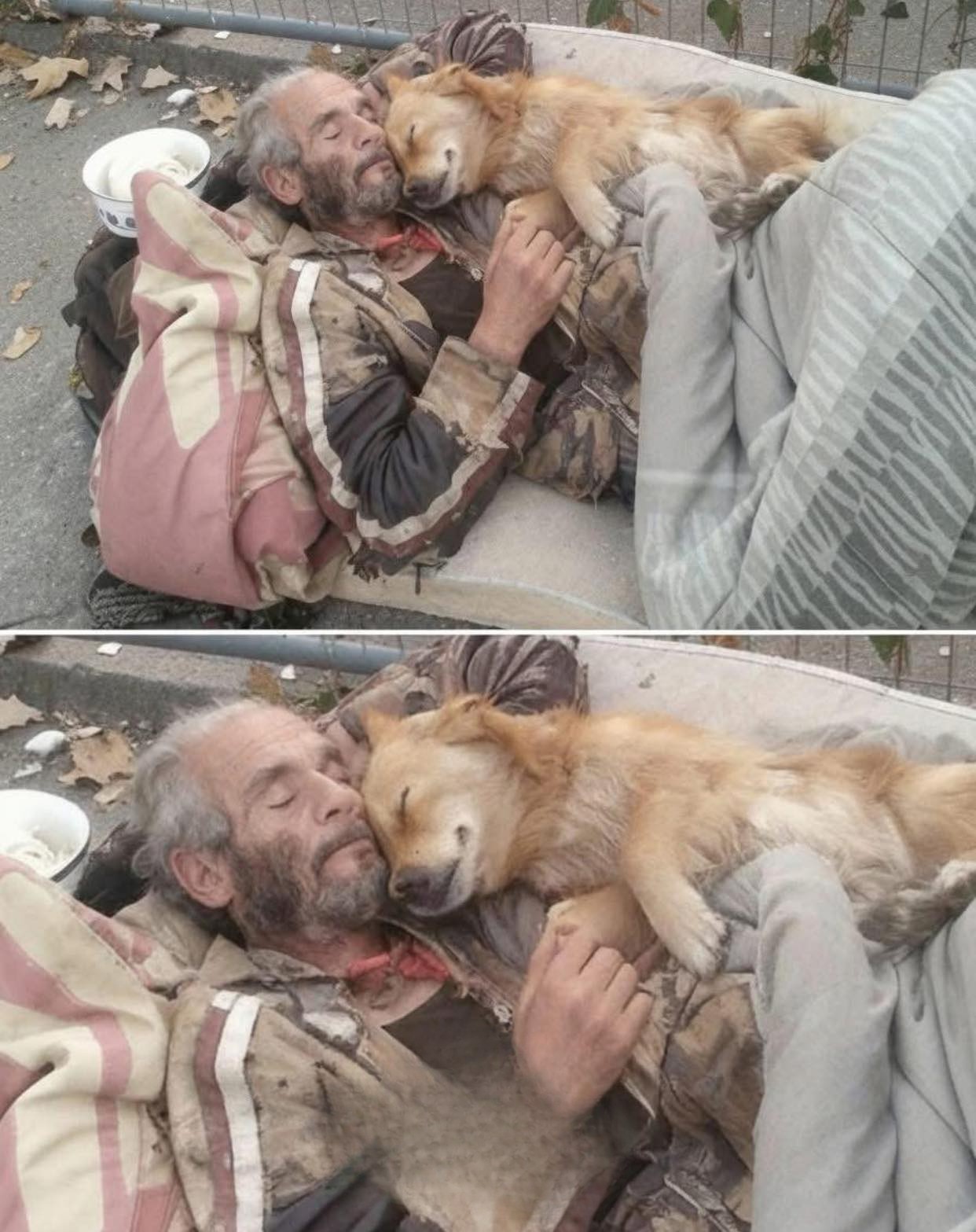 Un uomo senza dimora e il suo cane affrontano ogni notte insieme, dimostrando come il legame tra loro superi ogni difficoltà e mancanza materiale.