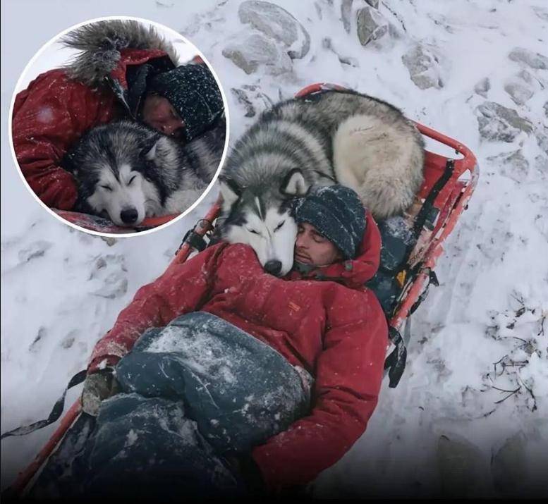 Sulle montagne del Velebit, in Croazia, il cane North rimane accanto al suo padrone ferito per 13 ore nella neve, proteggendolo fino ai soccorsi.
