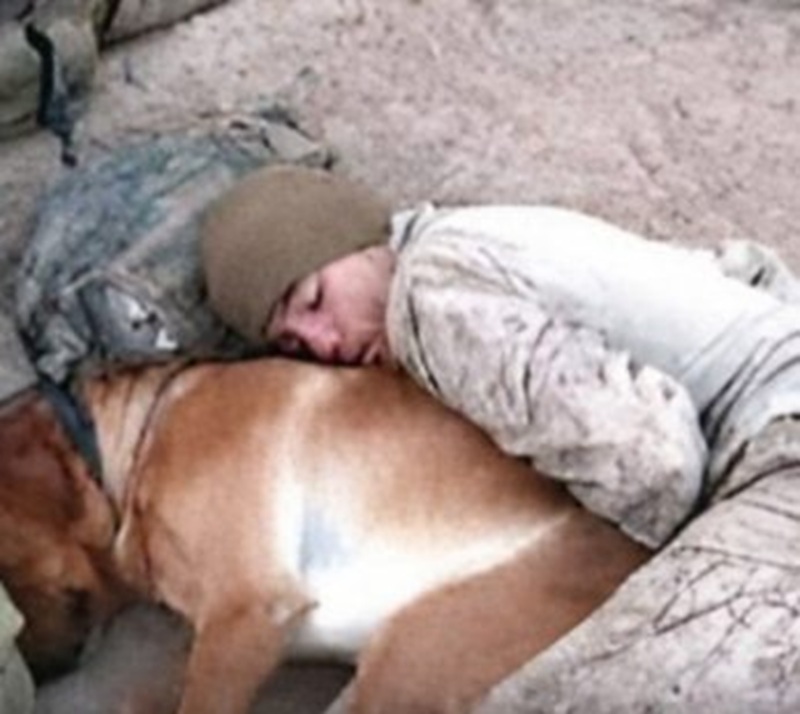 Un soldato trova conforto nel suo cane fedele, in un gesto silenzioso che racconta un legame fatto di lealtà, fiducia e presenza costante.