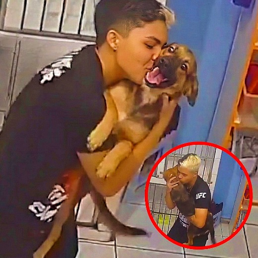 Un ragazzo lava con dolcezza un cane in clinica, ma dietro quel gesto si nasconde una storia di paura, abbandono e lenta riconquista della fiducia.
