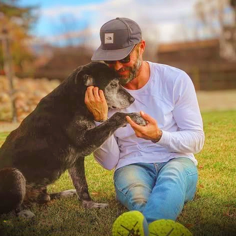 Nel rifugio nessuno lo voleva per età e malattia, ma Zach lo adotta e Henry sorprende tutti tornando a vivere e sorridere.