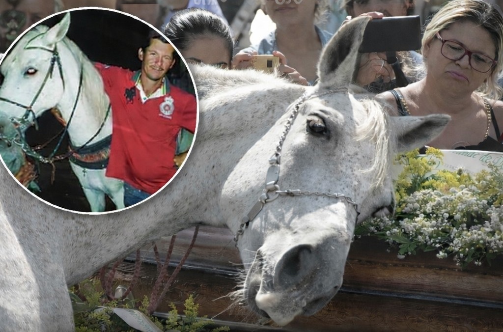 A Paraíba, il cavallo Sereno si avvicina alla bara del suo proprietario Wagner Figueiredo durante il funerale e resta immobile per diversi minuti davanti ai familiari commossi.