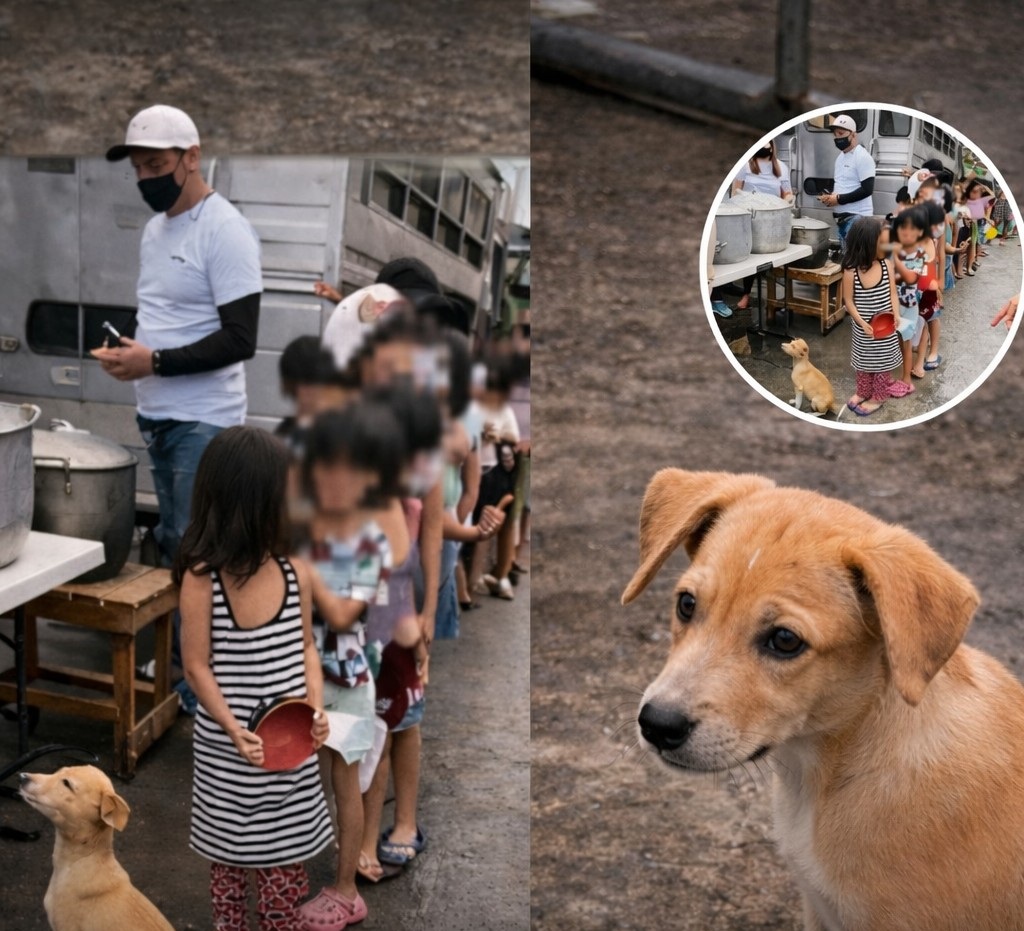 Durante una distribuzione di pasti per bambini nelle Filippine, un cucciolo randagio si è seduto in fondo alla fila aspettando il proprio turno, diventando virale online.