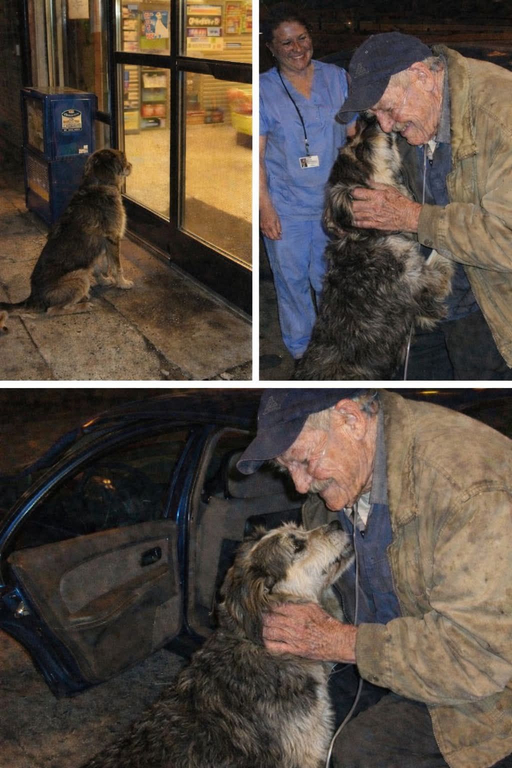 Un cane rimane seduto davanti a una drogheria per tre giorni aspettando il suo proprietario, ignaro che l’uomo fosse stato portato via in ambulanza.