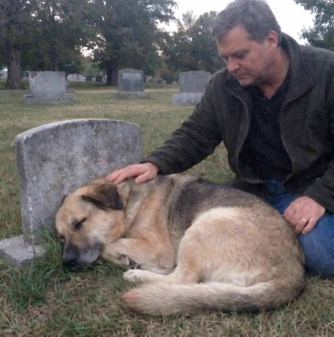 Un uomo pensa di restituire Rocco perché fugge continuamente, ma seguendolo scopre che il cane corre al cimitero dal suo precedente proprietario.