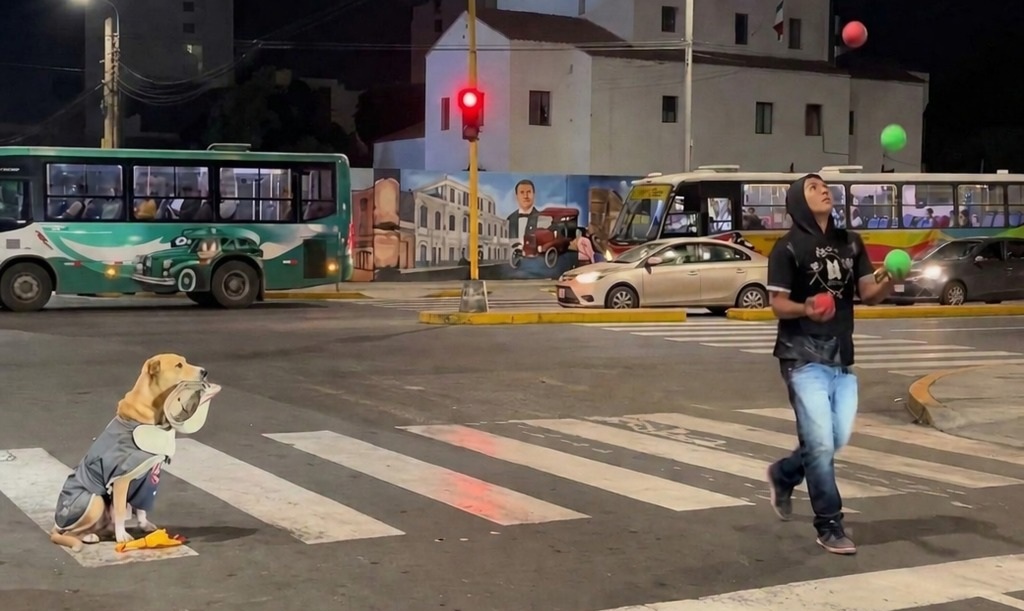 Un artista di strada si esibisce al semaforo con il suo cane Wolfy accanto: un incontro semplice che colpisce chi si ferma a osservare.