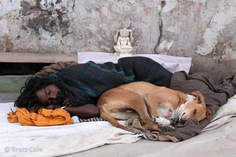 Un uomo senza dimora rifiuta più volte un posto nei rifugi perché non può portare con sé il suo cane, scegliendo di restare con lui per strada.