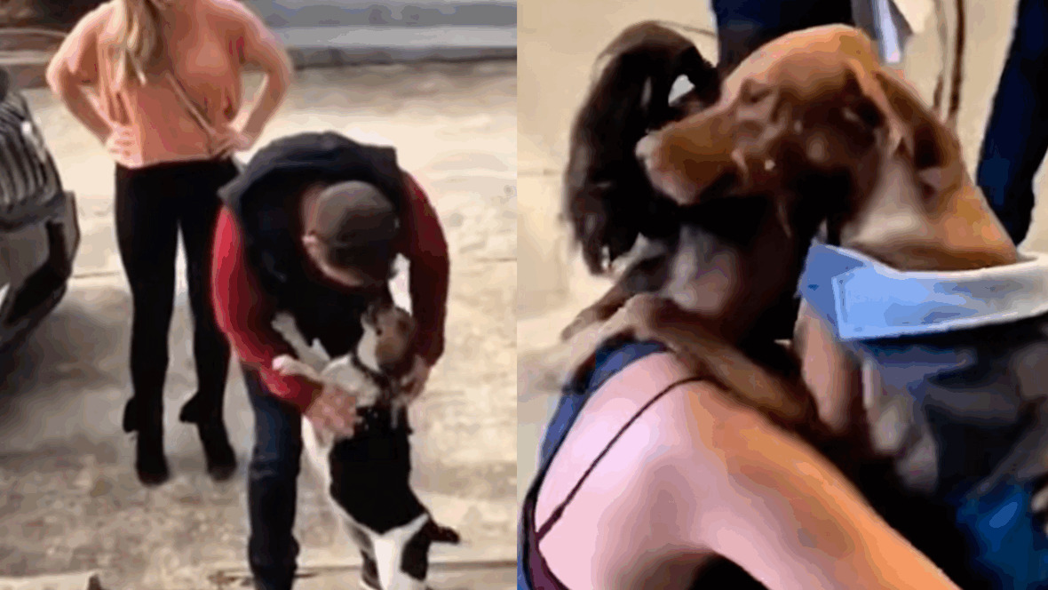 Dopo anni di isolamento e catene, il cane Katy viene liberato a Cancún e reagisce abbracciando la volontaria che lo ha salvato.