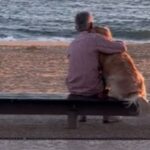 Mukhtar, il cane fedele che attese invano il ritorno del suo umano