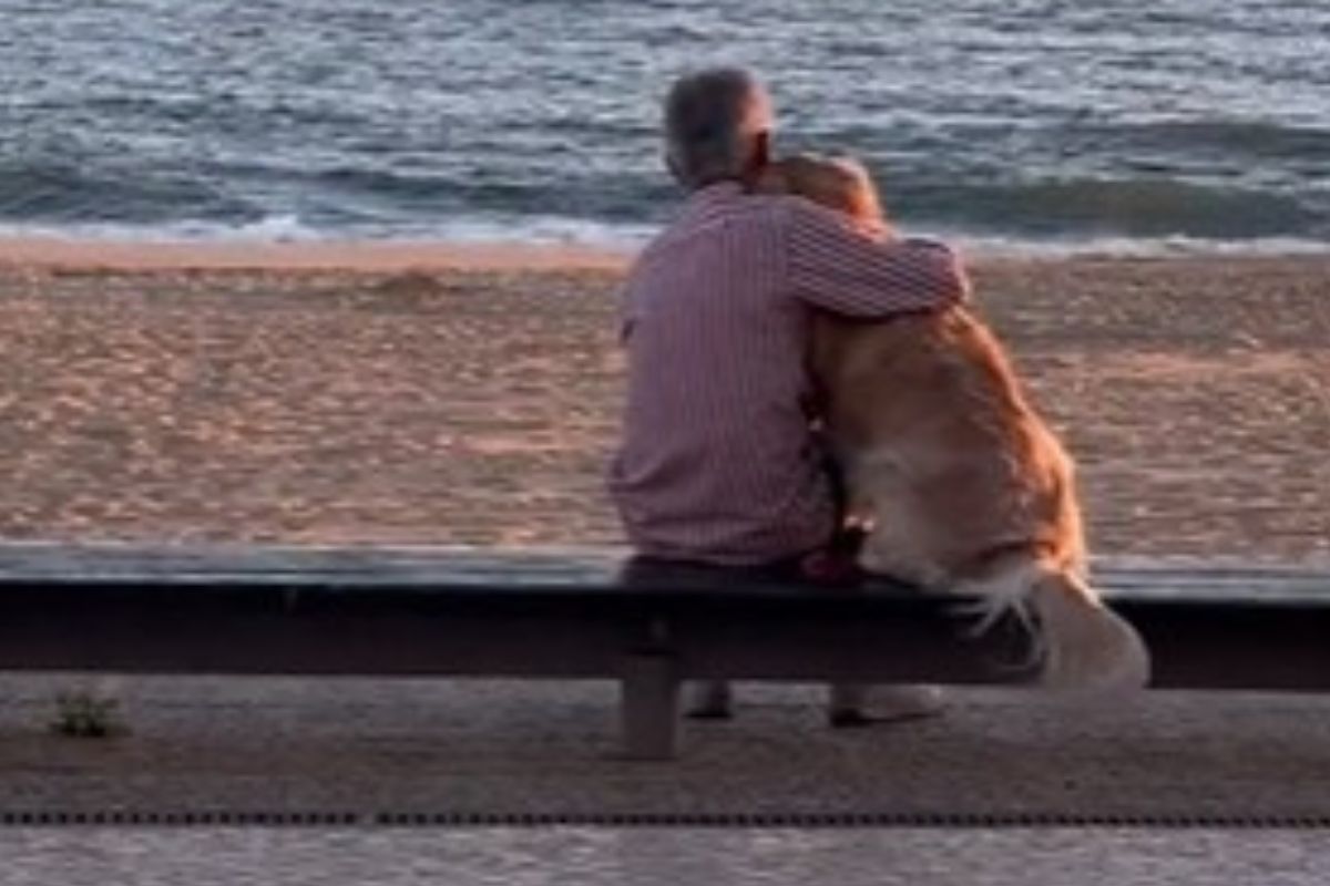 Un uomo anziano saluta il suo cane ormai stanco su una panchina del parco. Dopo una vita insieme, l’animale chiude gli occhi per sempre.