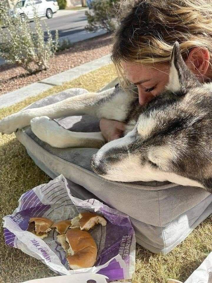 Sam, 18 anni, muore improvvisamente per un versamento pericardico. Solo due giorni prima giocava. Il suo umano racconta gli ultimi momenti insieme.