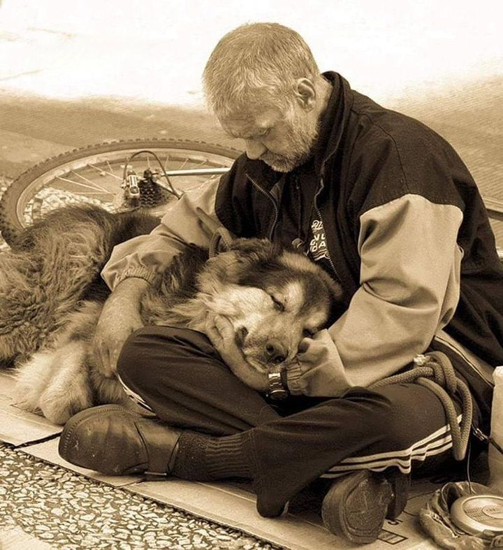 Un uomo anziano accoglie un cane randagio e nasce un legame profondo: tra difficoltà economiche e solitudine, i due affrontano insieme ogni giorno.