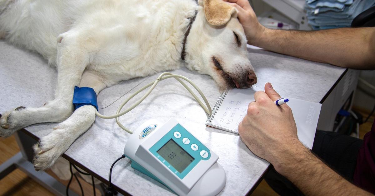 Blocco Paragrafo Inizia con