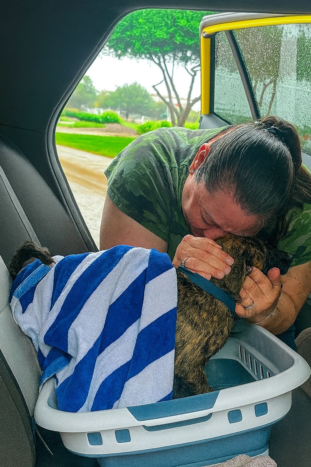 Blue, scomparsa da cucciola durante una tempesta, viene ritrovata dopo otto anni grazie al microchip, a oltre 300 miglia da casa, sorprendendo la famiglia.