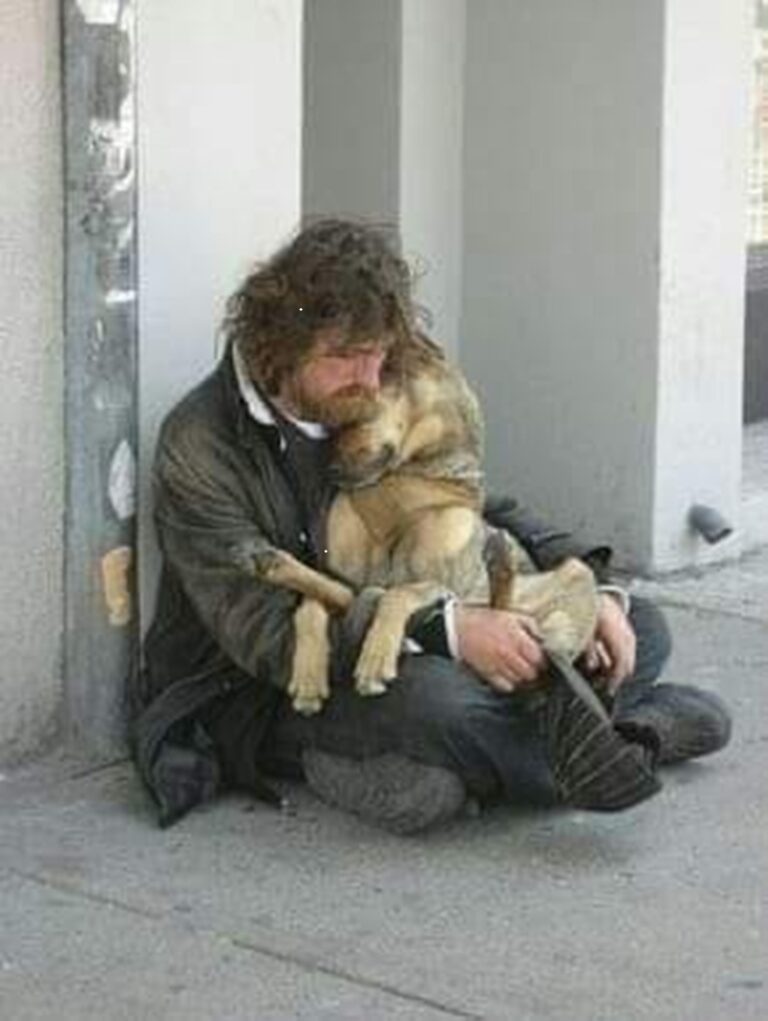 Un uomo senza dimora raccoglie elemosine ma utilizza il denaro per nutrire il suo cane. Il rapporto tra i due diventa centrale nella vita quotidiana.