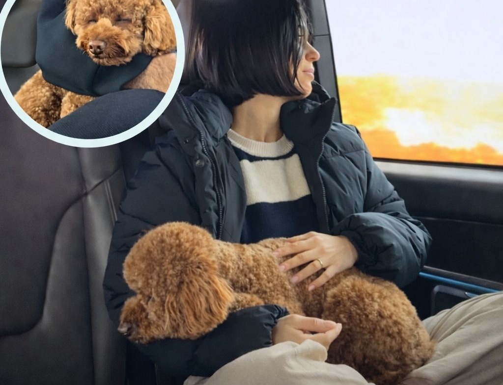 Una coppia affronta un trasferimento complesso tra più Paesi dopo la chiusura dello spazio aereo a Doha, scegliendo di non separarsi dal proprio cane.