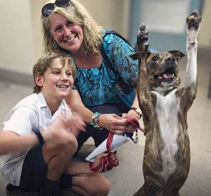 Una cagnolina abbandonata viene accolta in un rifugio a Melbourne e adottata in pochi giorni; una foto diffusa online mostra la sua reazione dopo l’arrivo nella nuova casa.