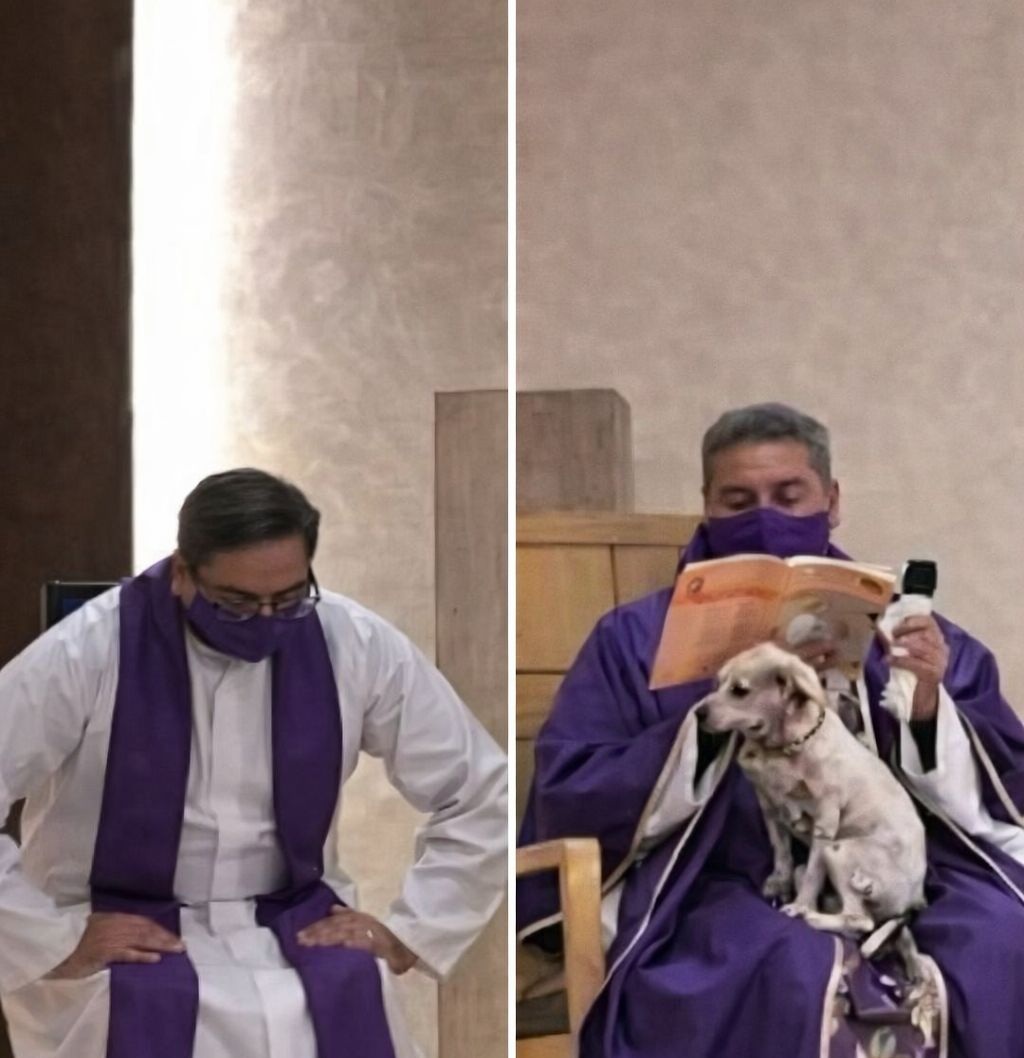 Un sacerdote celebra la messa con il suo cane malato tra le braccia, scusandosi con i fedeli: il gesto commuove alcuni e scatena polemiche.