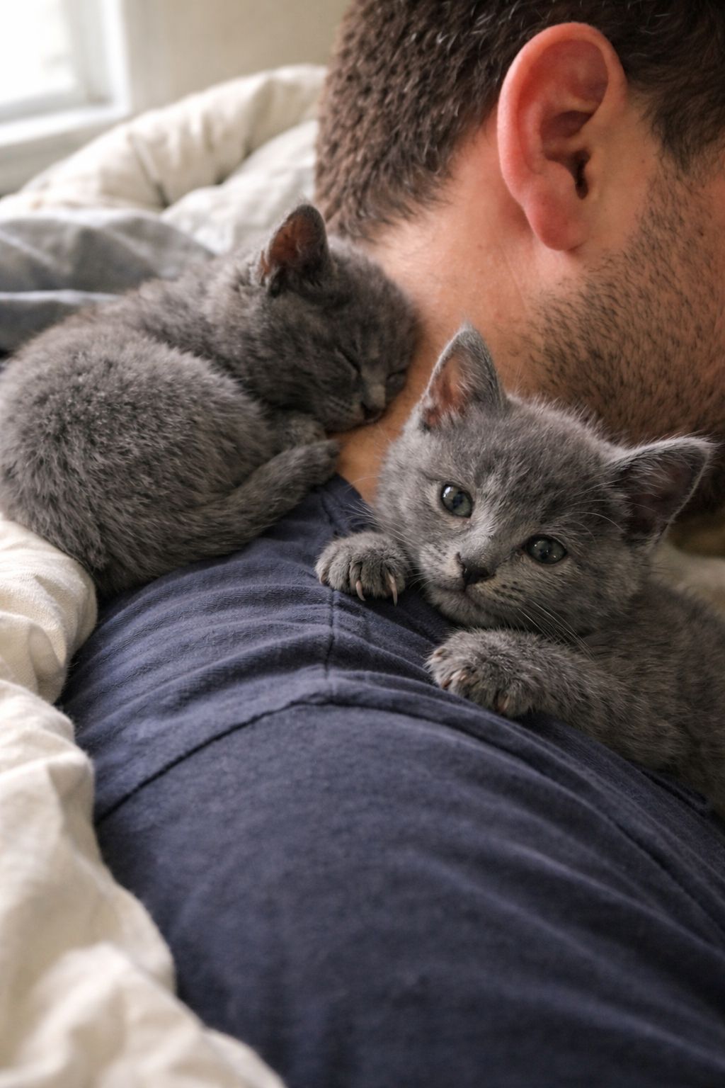 Accolte temporaneamente, due gattine trasformano una casa vuota in uno spazio vivo. Il rapporto cresce fino alla decisione definitiva di tenerle entrambe.