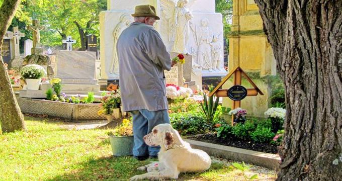 Un anziano ricoverato in ospedale muore dopo alcuni giorni; il suo cane, rimasto a casa, smette di reagire e si spegne lo stesso giorno.