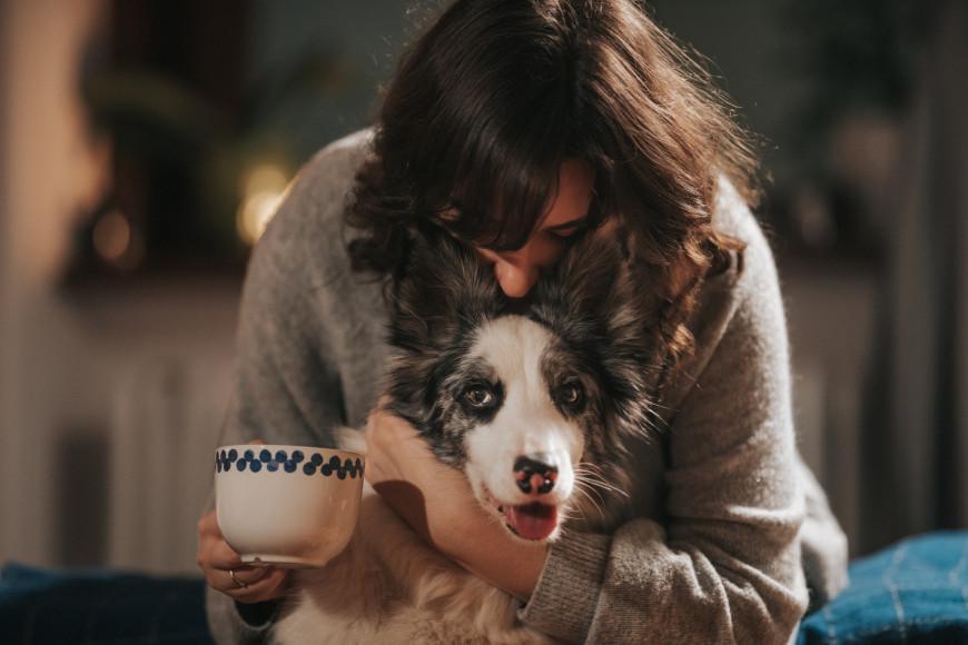 Un Pastore Australiano finisce al centro di polemiche dopo un episodio con un postino, ma il racconto del proprietario rivela un comportamento opposto alle accuse.