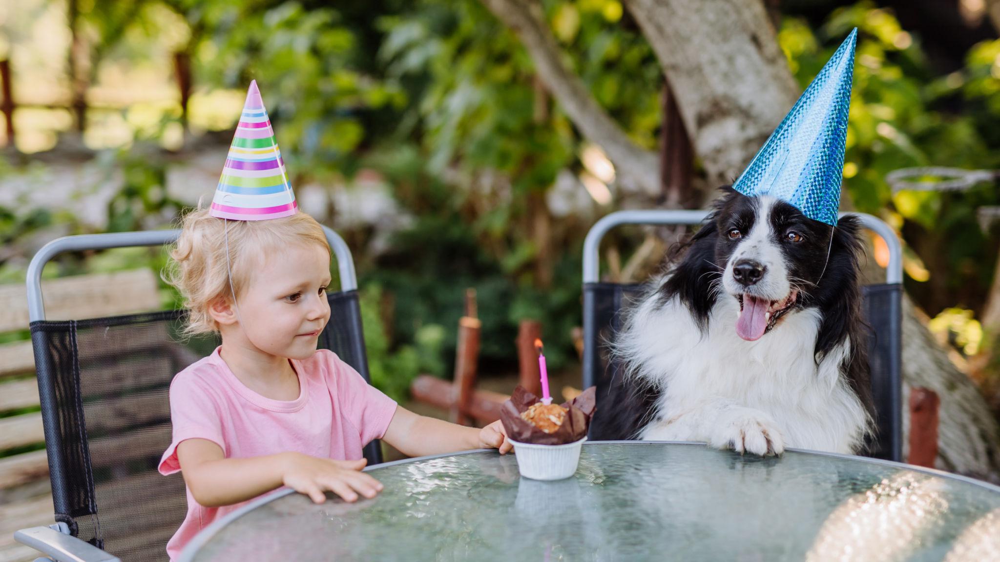 Un bambino inserisce il cane del vicino tra gli invitati al suo compleanno. Il gesto sorprende le famiglie e diventa un momento di condivisione e affetto.