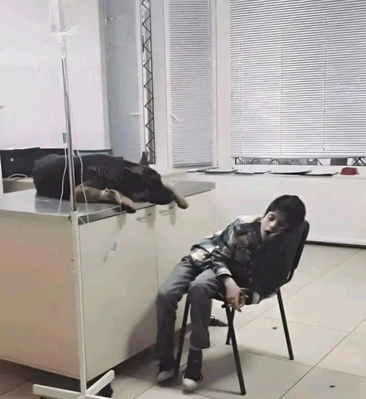 Il cane resta tutta la notte accanto al fratello: il gesto mostra il legame nato in famiglia Un cane resta accanto al fratello per tutta la notte, senza volerlo lasciare solo, in una casa dove bambini e animali crescono insieme. La notte trascorsa accanto al fratello Il racconto descrive un cane rimasto per tutta la notte vicino al fratello, senza allontanarsi da lui. Un comportamento silenzioso ma significativo, osservato in un momento di quotidianità familiare. La sua presenza costante ha mostrato un legame forte, fatto di vicinanza e protezione. Il cane accanto al fratello e il ruolo della famiglia In una casa in cui bambini e animali crescono insieme, episodi come questo diventano parte dell’educazione emotiva quotidiana. La convivenza con un animale insegna a riconoscere bisogni, fragilità e segnali non verbali. Per i bambini, vedere un cane restare accanto a un altro animale può diventare un’esperienza concreta di attenzione e rispetto. Un legame che entra nella vita dei bambini La scelta di crescere i bambini insieme agli animali viene raccontata come un modo per favorire empatia e cura. Il gesto del cane, rimasto accanto al fratello per tutta la notte, diventa così un momento familiare capace di lasciare un segno. In quella presenza tranquilla c’è l’inizio di una relazione che coinvolge non solo gli animali, ma anche i bambini che imparano a osservarli.
