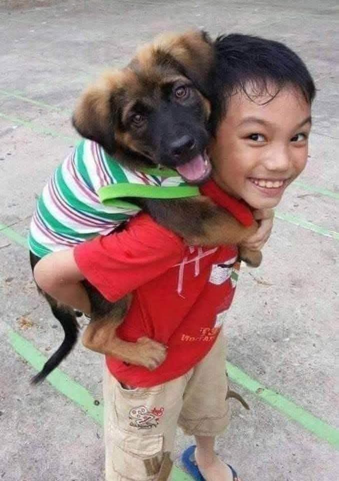 Da cucciolo abbandonato a compagno inseparabile: un legame nato per caso si è trasformato in una presenza quotidiana e familiare.