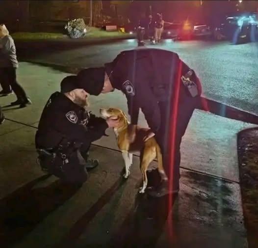 La cagnolina Lucy sveglia la famiglia durante la notte, permettendo di chiamare i soccorsi mentre un incendio divampava davanti alla loro abitazione.