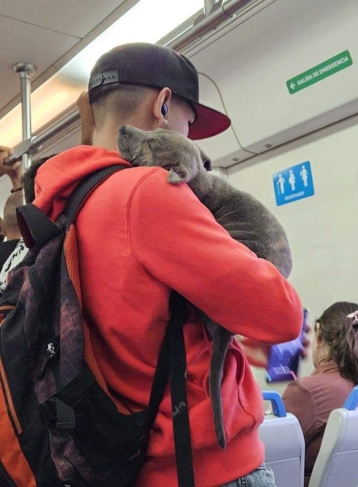 In metropolitana, un ragazzo tiene tra le braccia un cucciolo addormentato, offrendo protezione e calma in mezzo al rumore dei passeggeri durante il viaggio quotidiano.