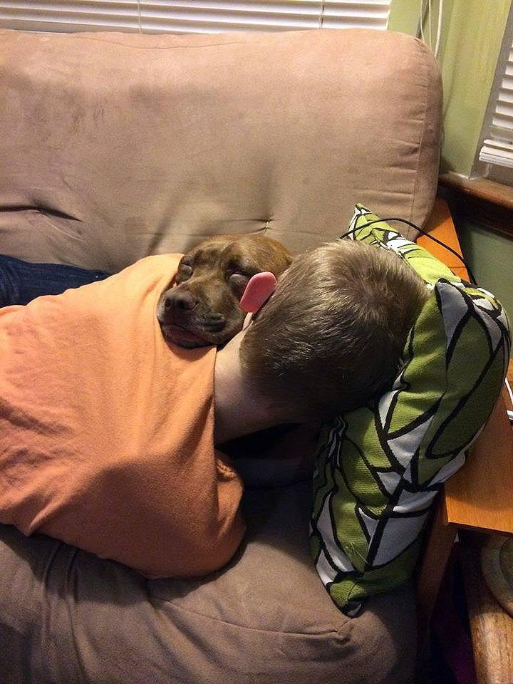 Un bambino rientra da scuola con lo sguardo triste e trova nel cane di famiglia una presenza silenziosa capace di confortarlo.