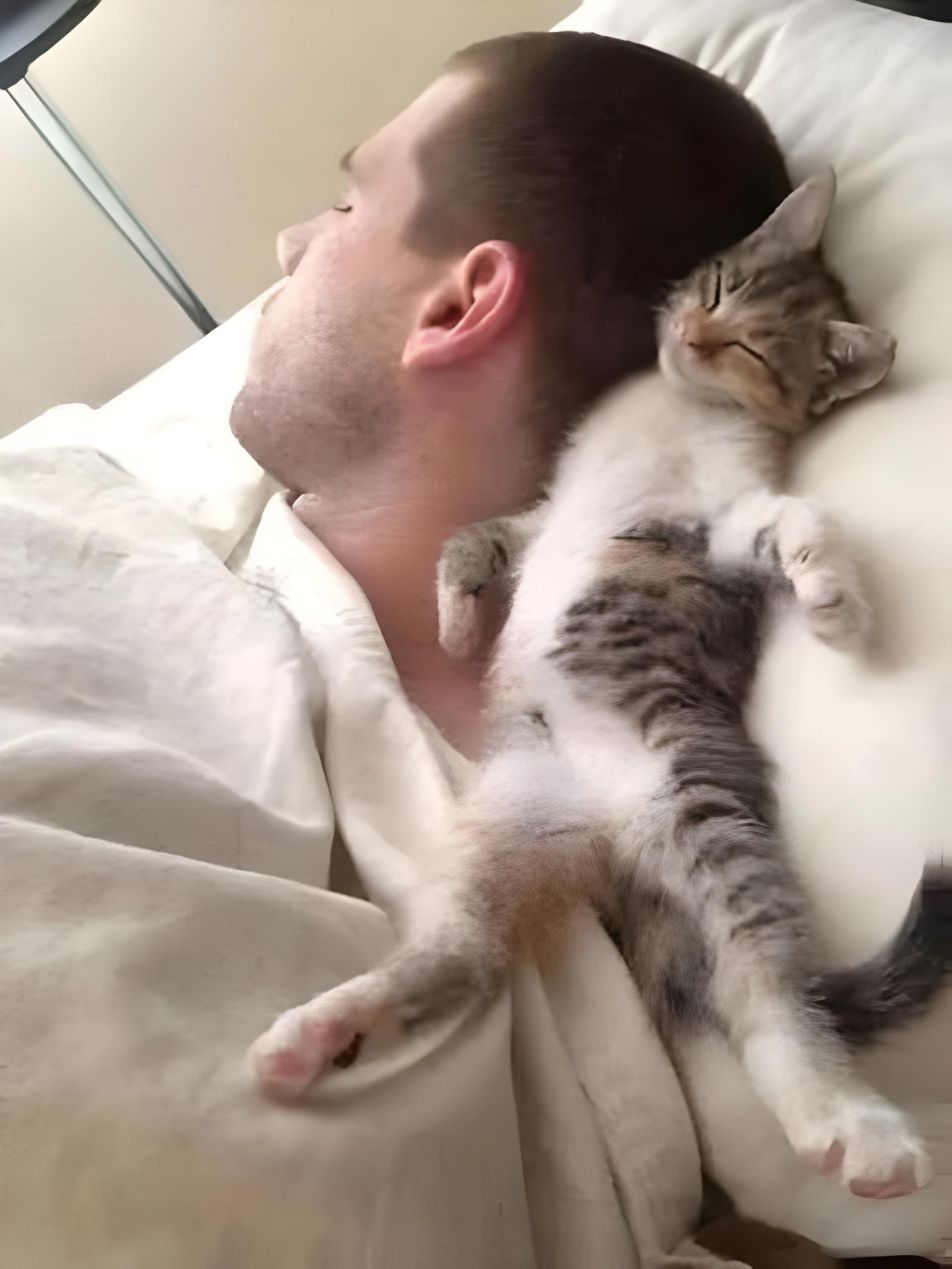 Un minuscolo gattino trovato solo e infreddolito trascorre la prima notte al sicuro tra le braccia dell’uomo che lo ha salvato e accolto in casa.