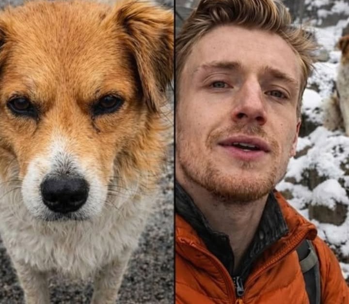 Un turista britannico si perde nella nebbia sulla Santa Cruz Trek, ma un cane locale lo guida fino al gruppo in sicurezza.