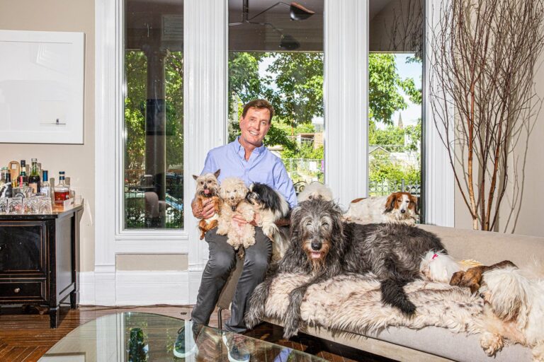 Dopo la perdita del suo cane Wolfgang, Steve Greig ha deciso di adottare cani anziani dimenticati nei rifugi, offrendo loro una casa e nuove attenzioni.
