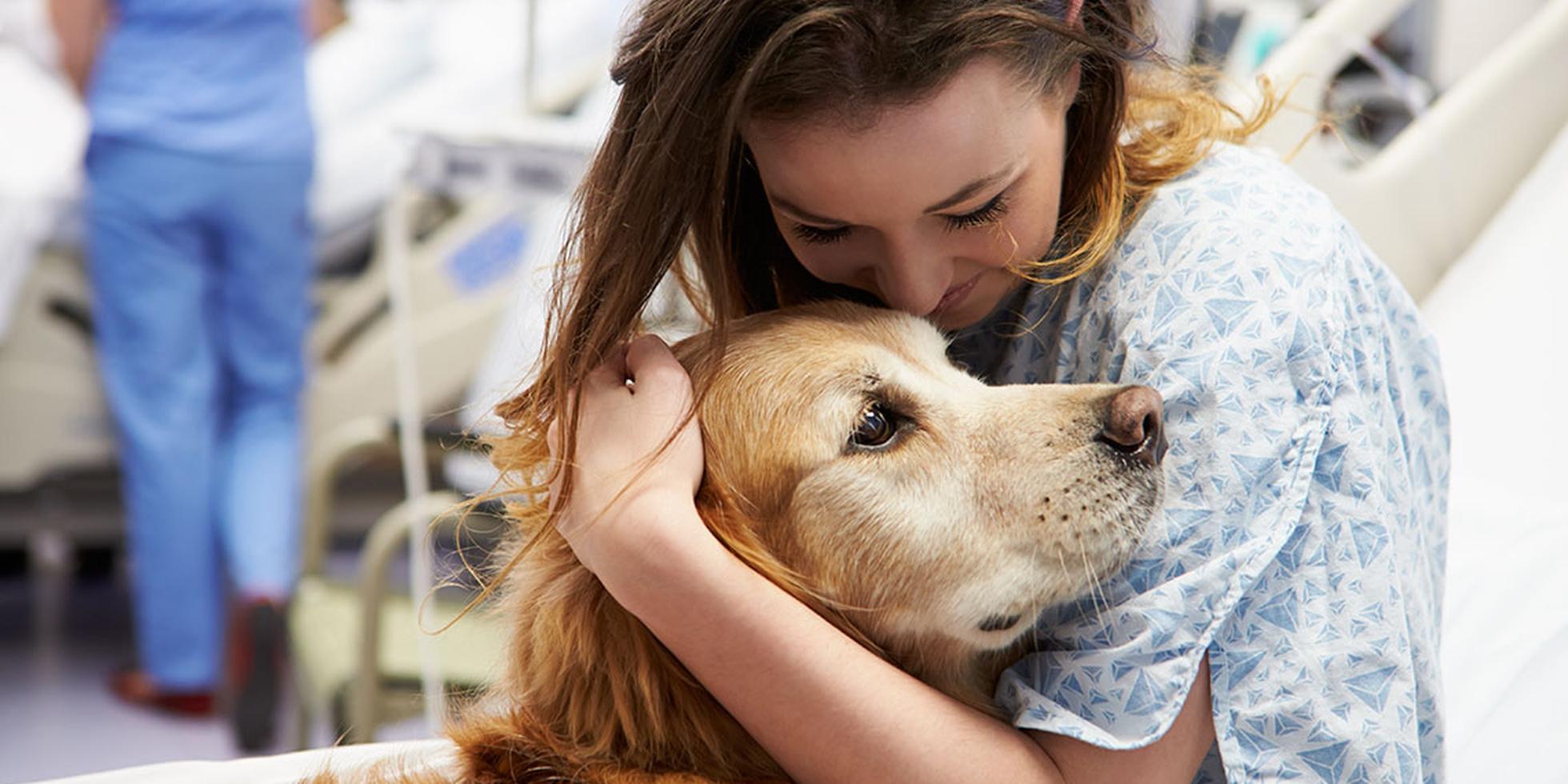 Burrasca cambia corsia all’Ospedale Bambino Gesù: il cane da pet therapy resta accanto alla sua padrona malata Dopo tre anni trascorsi nei reparti pediatrici del Bambino Gesù di Roma, la cagnolina Burrasca ha accompagnato la sua proprietaria durante le sedute di chemioterapia. Burrasca e il lavoro di pet therapy all’Ospedale Bambino Gesù Per tre anni Burrasca, una Cairn Terrier grigio-fulvo, ha partecipato alle attività di pet therapy organizzate all’Ospedale Bambino Gesù di Roma insieme all’associazione Pet Therapy Italia. Secondo il racconto della coordinatrice del programma ospedaliero, la cagnolina era conosciuta per il suo comportamento tranquillo e per il modo delicato con cui si avvicinava ai piccoli pazienti. “Sapeva aspettare. Sapeva posare la testa sul bordo di un lenzuolo”, viene raccontato nella testimonianza condivisa dal personale del reparto. “Sapeva restare immobile quando un bambino non aveva più la forza di alzare la mano”. Accanto a lei c’era sempre la proprietaria, una donna di 52 anni che accompagnava Burrasca nelle visite ai bambini ricoverati. Il cane indossava abitualmente un foulard blu scuro con la scritta “PET THERAPY”. La diagnosi della proprietaria e il cambiamento di ruolo di Burrasca Martedì 14 aprile 2026, però, il contesto è cambiato completamente. La proprietaria di Burrasca si è ritrovata ricoverata nello stesso reparto ospedaliero dove il cane aveva svolto attività assistita la settimana precedente. Secondo quanto riferito dal personale sanitario, alla donna era stato diagnosticato un tumore al seno e aveva appena iniziato il percorso di cure. “Questa volta era la sua padrona a essere seduta sul letto”, viene raccontato nella testimonianza. Quando è entrata nella stanza, Burrasca non avrebbe cercato i bambini né tentato di spostarsi verso il corridoio. “Si è avvicinata al letto medicalizzato, ha posato le zampe anteriori contro il bordo”, viene ricordato nel racconto condiviso dall’ospedale. Quella sera il foulard blu utilizzato durante la pet therapy è stato tolto dal collo della cagnolina e sistemato sotto il cuscino della proprietaria. La presenza di Burrasca durante la chemioterapia Durante i sei cicli di chemioterapia affrontati dalla donna, Burrasca ha continuato a presentarsi in ospedale, pur essendo ufficialmente sospesa dall’attività di pet therapy. Secondo il personale del reparto, la cagnolina trascorreva le ore accanto al letto medicalizzato della proprietaria, restando vicino a lei durante le terapie. “A volte appoggiava il muso contro la caviglia della sua padrona”, viene raccontato nella testimonianza. “Quel tanto che bastava per ricordare che un corpo malato non è un corpo abbandonato”. La presenza del cane è stata notata anche dagli altri piccoli pazienti dell’ospedale. In particolare, una bambina passando davanti alla stanza avrebbe riconosciuto Burrasca chiedendo: “Sta ancora curando?”. Secondo quanto raccontato dalla coordinatrice del programma, il ruolo della cagnolina era semplicemente cambiato. Non più dedicato ai bambini ricoverati, ma alla persona che per anni l’aveva accompagnata nei reparti dell’ospedale di Roma.