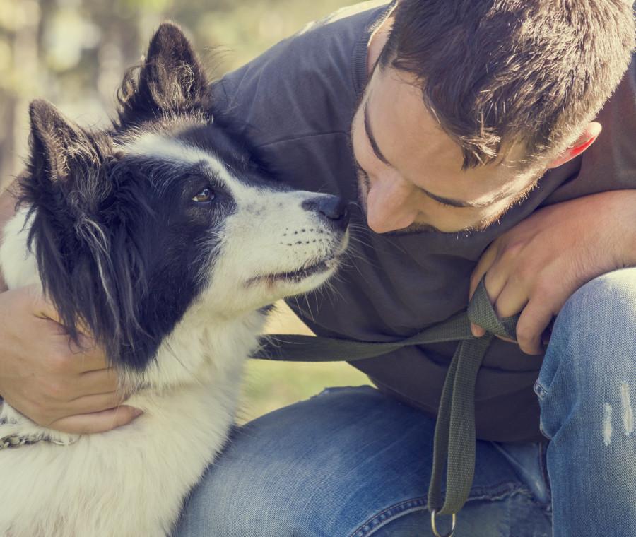 Dopo la scomparsa del figlio, un uomo fatica ad accettare il cane rimasto in casa. Con il tempo, la convivenza con Oslo modifica la gestione del dolore.