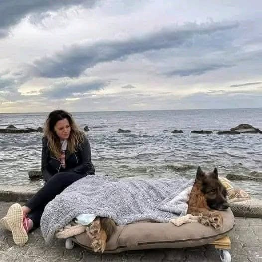 Cuore era stato lasciato indietro più di un anno fa: una volontaria di Bitonto lo ha accompagnato in un ultimo viaggio speciale.